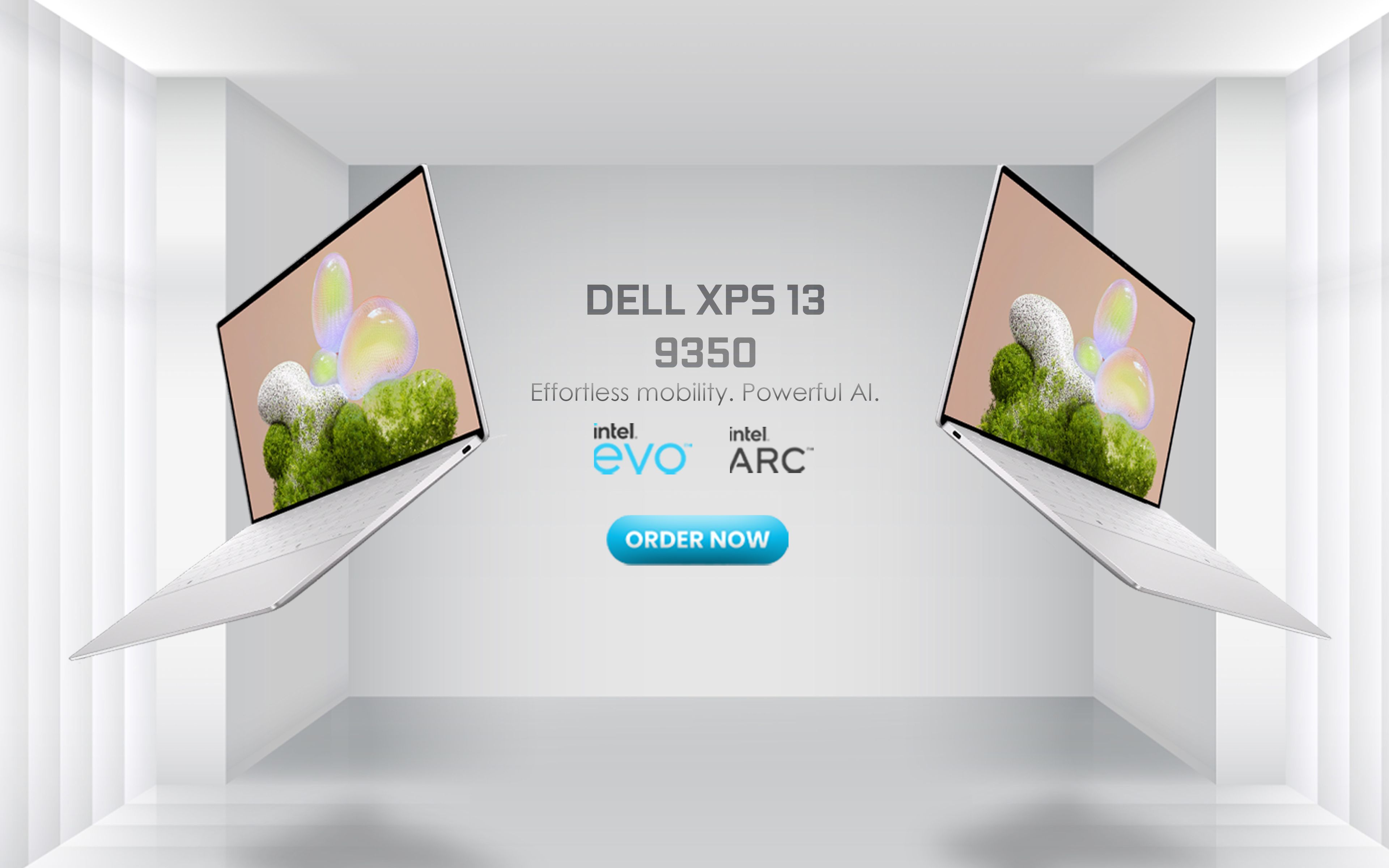 DELL
