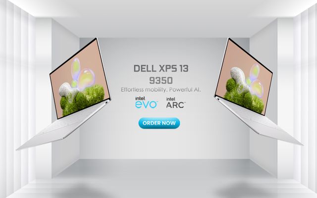 DELL