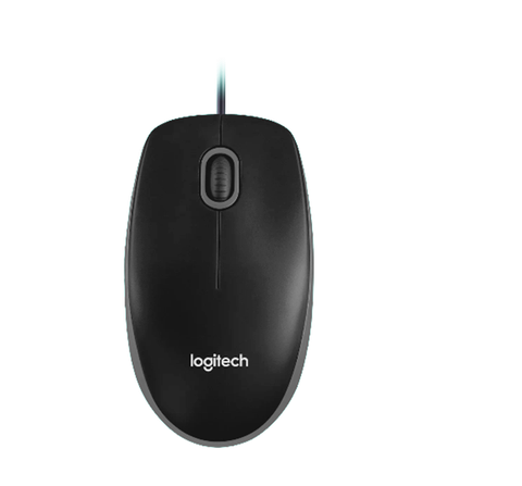 B100_Mouse_1