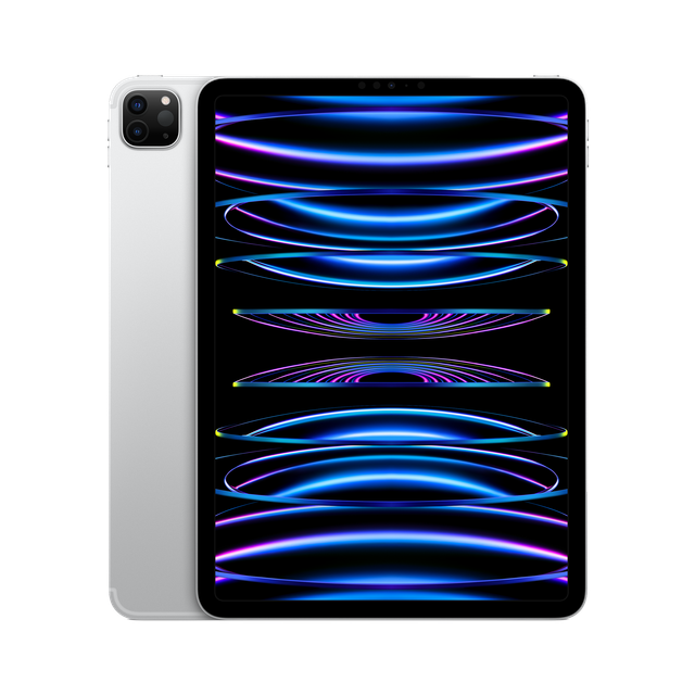 iPad Pro 11 4th Gen M2 Silver WiFi Cellular (main)