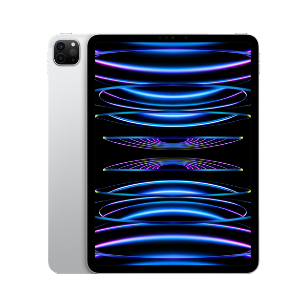 iPad Pro 11 4th Gen M2 Silver WiFi (main)