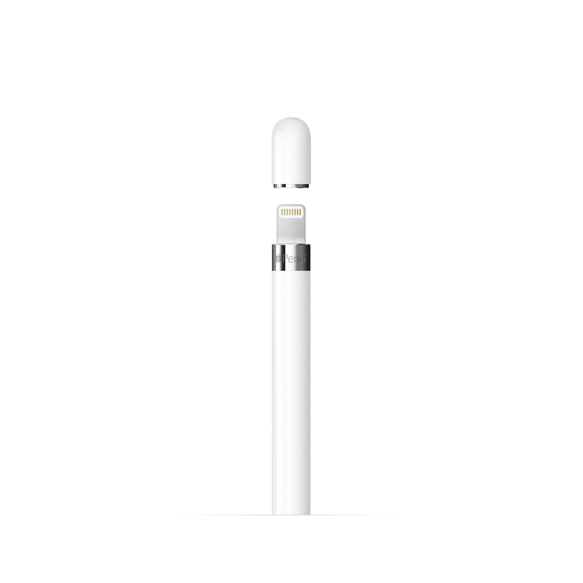 Apple Pencil 1st Generation (main)