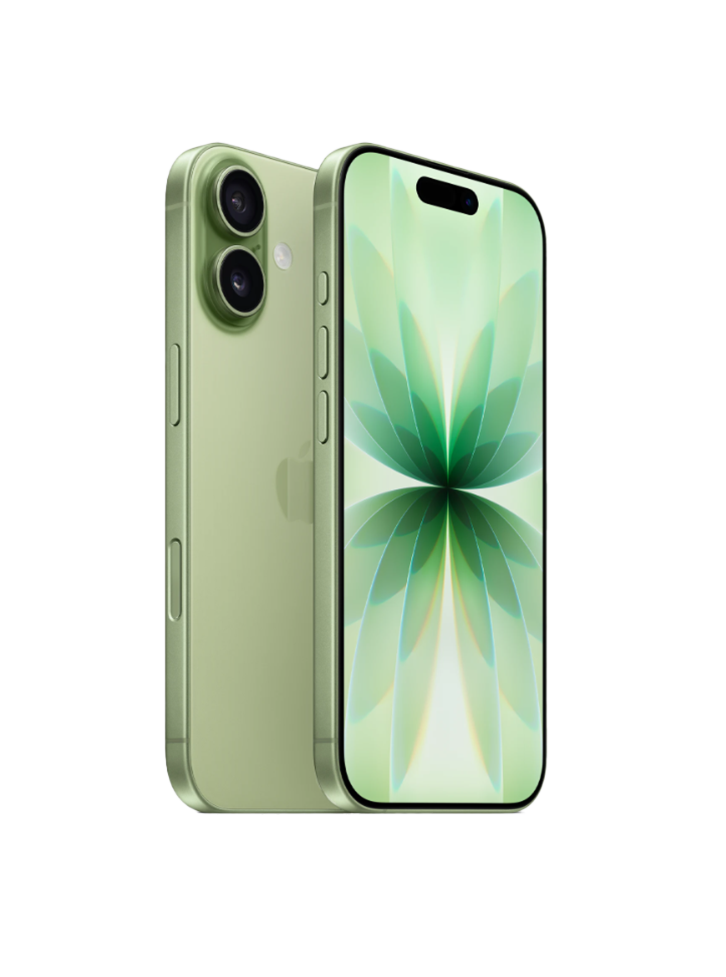 Iphone_17_Sage_1